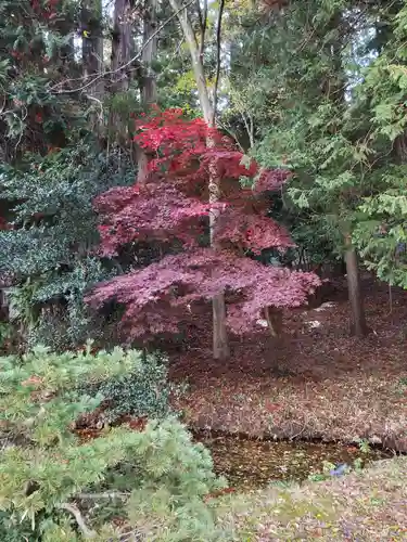 鹿島大神宮の自然