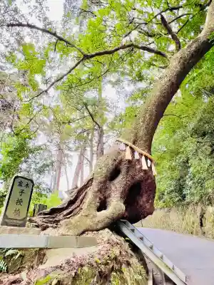 笠森寺(千葉県)
