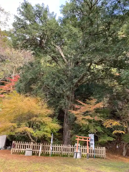 金剛院(京都府)