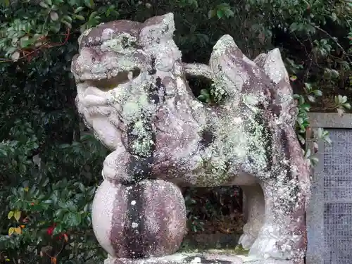 太歳神社の狛犬