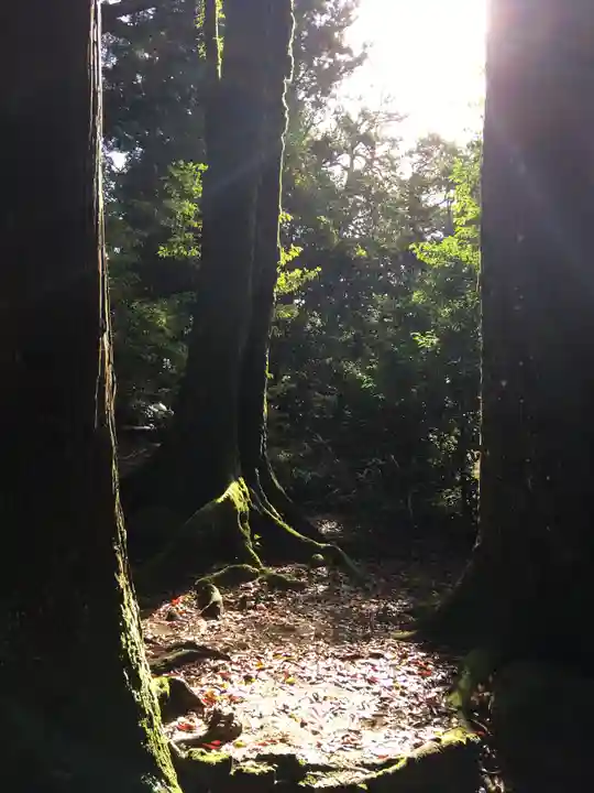 須佐神社の自然
