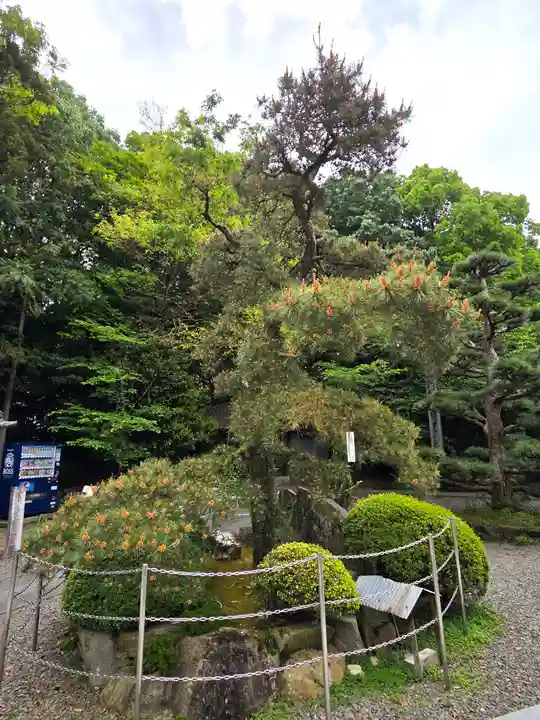 大興寺の自然