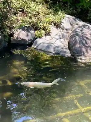 西新井大師総持寺(東京都)