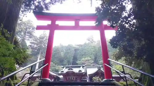 箱根神社の鳥居