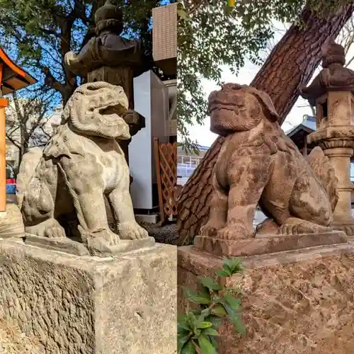 上目黒氷川神社の狛犬