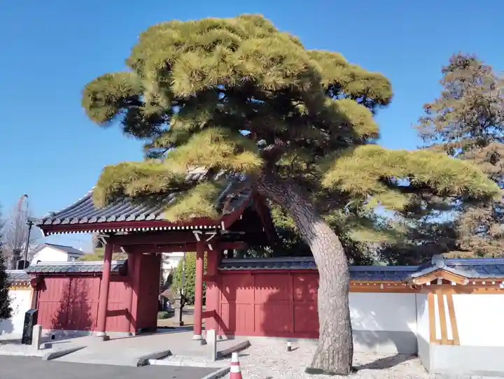遍照寺(群馬県)