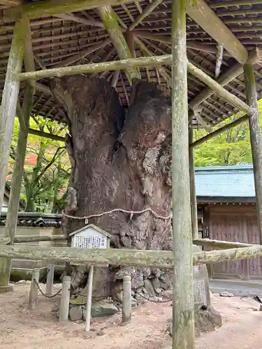 根香寺(香川県)