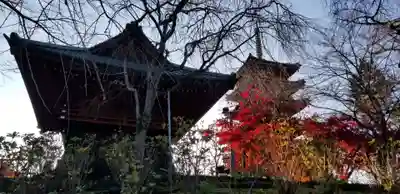 本土寺(千葉県)