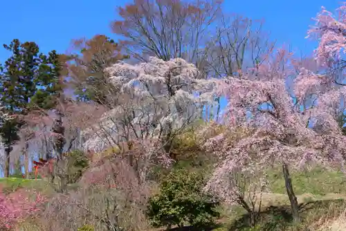 高屋敷稲荷神社の景色