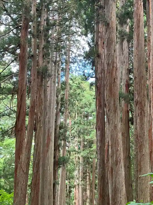戸隠神社奥社(長野県)