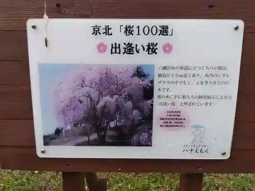 八幡宮社(京都府)