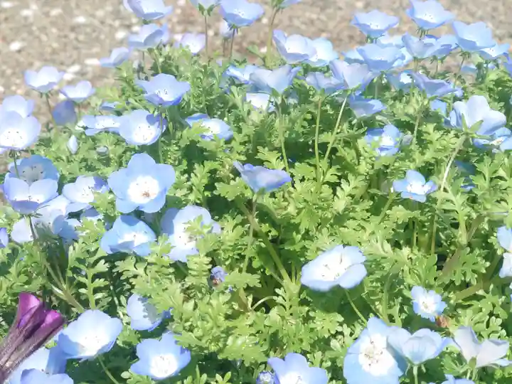 宇都母知神社(神奈川県)
