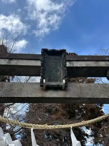 渋川八幡宮(群馬県)