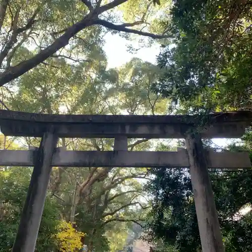 熊野三所神社(和歌山県)