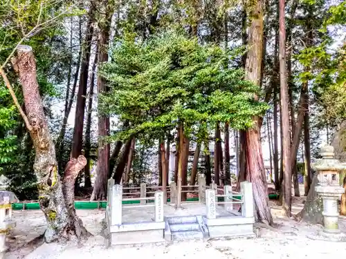 糟目春日神社のその他建物