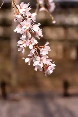 大石神社(京都府)
