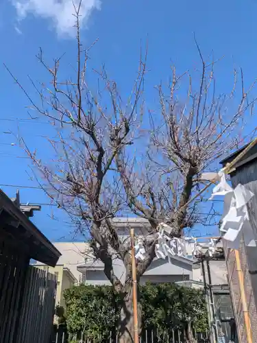 七重浜海津見神社(北海道)