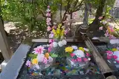 四倉諏訪神社の手水