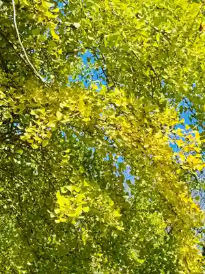 廣瀬大社(奈良県)