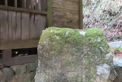 河内神社の自然