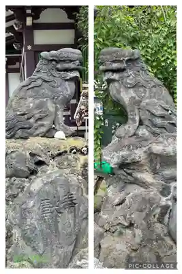 高木神社の狛犬