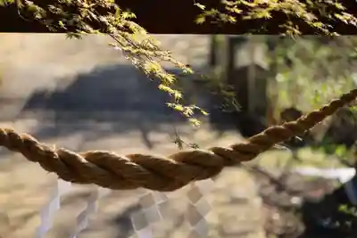 白幡神社の景色