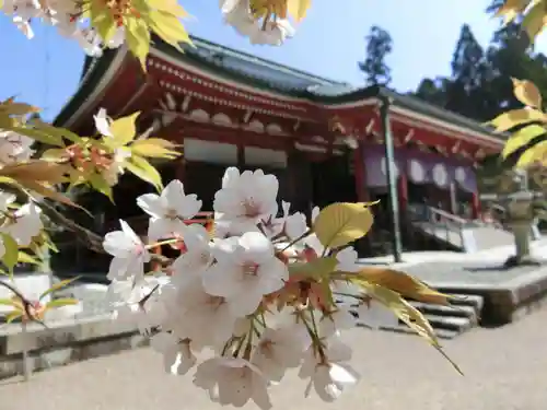 比叡山延暦寺の自然