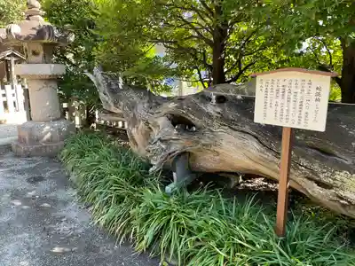 瀬戸神社(神奈川県)
