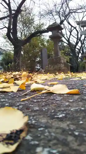 愛宕神社の自然