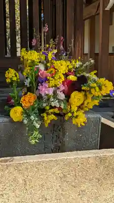 勝林寺(京都府)