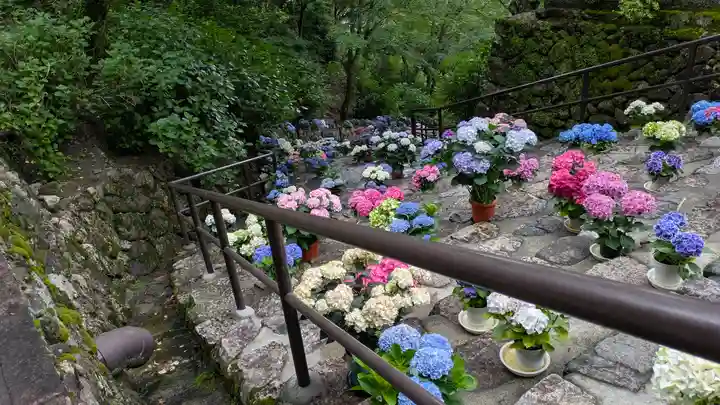 長谷寺(奈良県)