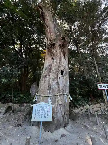 大山祇神社(愛媛県)