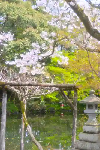富士山本宮浅間大社(静岡県)