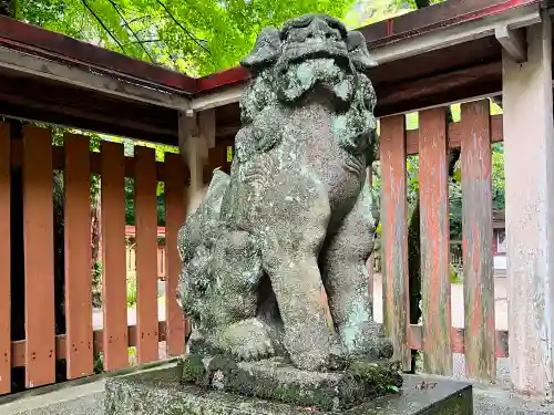 金崎宮の狛犬