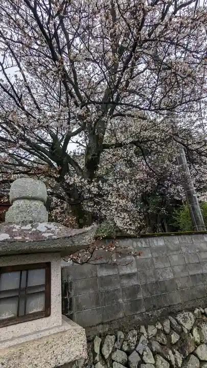 樫本神社(大原野神社境外摂社)(京都府)