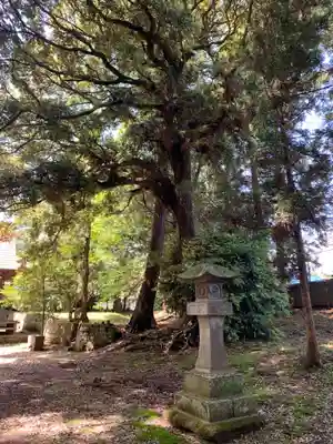 天神社(千葉県)