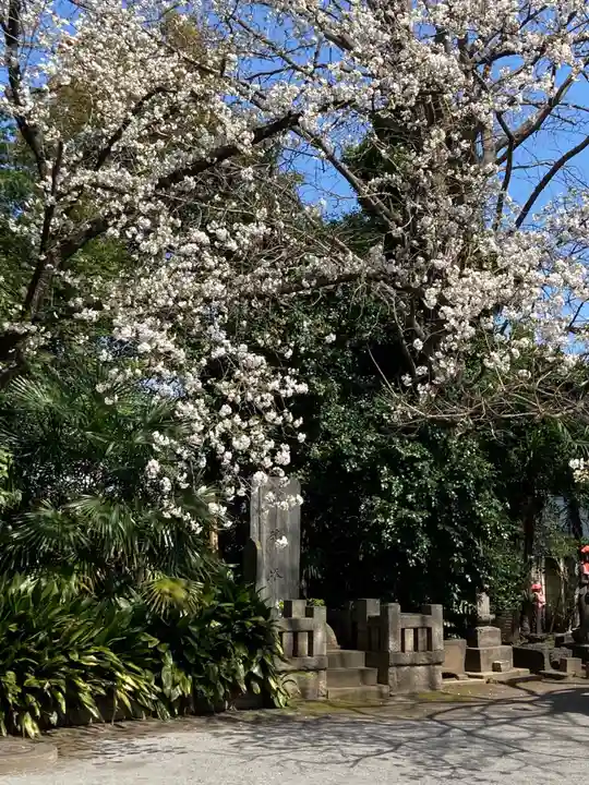 最勝寺教学院の自然