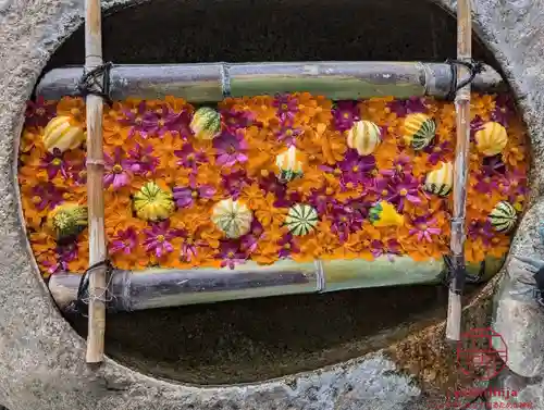 立志神社(滋賀県)