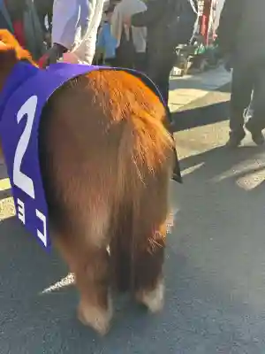五方山熊野神社(東京都)