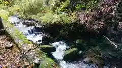 玉野御嶽神社の自然