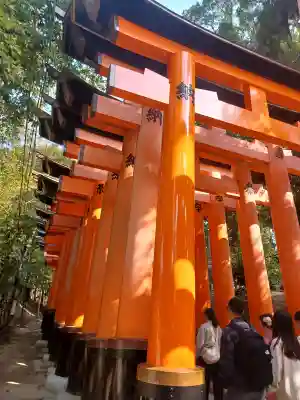 伏見稲荷大社(京都府)