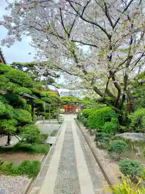 日蓮宗妙浄寺(大阪府)