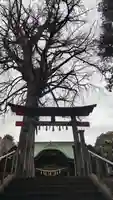下総国三山 二宮神社の鳥居