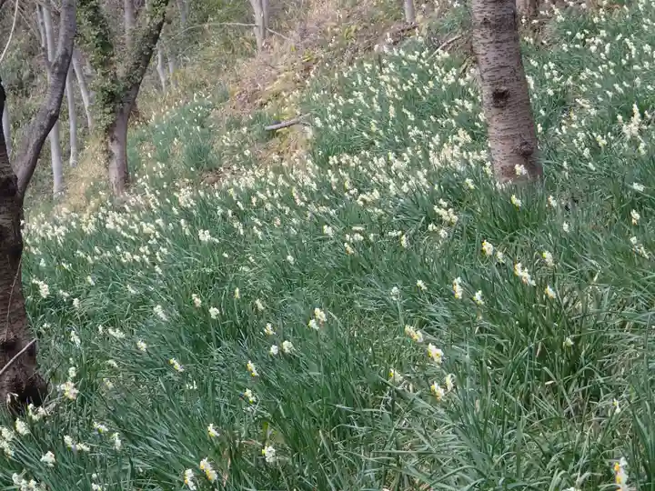 鐸比古鐸比賣神社旧社地の自然