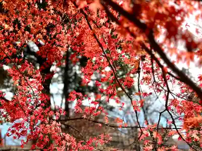 眞田神社の自然
