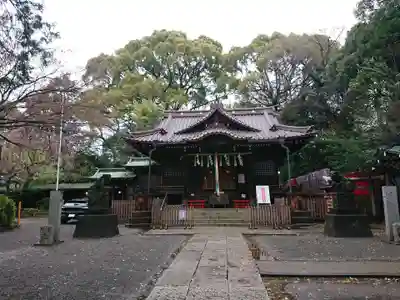 代々木八幡宮の本殿・本堂