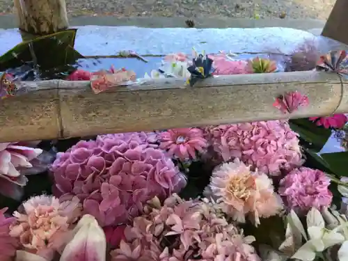 札幌伏見稲荷神社(北海道)
