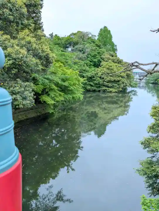 射水神社の{uncategorized: "未分類", other: "その他", undefined: "問題あり", building: "その他建物", grave: "お墓", sacred_gate: "鳥居", guardian: "狛犬", statue: "像", buddha: "仏像", history: "歴史", nature: "自然", garden: "庭園", animal: "動物", pagoda: "塔", temizu: "手水舎", mountain_gate: "山門・神門", sanctuary: "本殿・本堂", subordinate: "末社・摂社", art: "芸術", scenery: "景色", jizo: "地蔵", ema: "絵馬", goshuin: "御朱印", omikuji: "おみくじ", items: "授与品その他", amulet: "お守り", goshuincho: "御朱印帳", eats: "食事", festival: "お祭り", votive_dance: "神楽", shichigosan: "七五三参", wedding: "結婚式", experience: "体験その他", initially: "初詣", around: "周辺", anti_infection: "感染症対策"}
