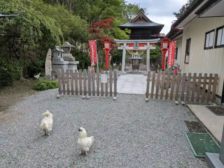 高屋敷稲荷神社(福島県)
