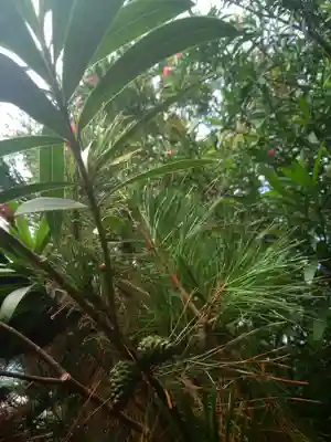 白髭社(愛知県)